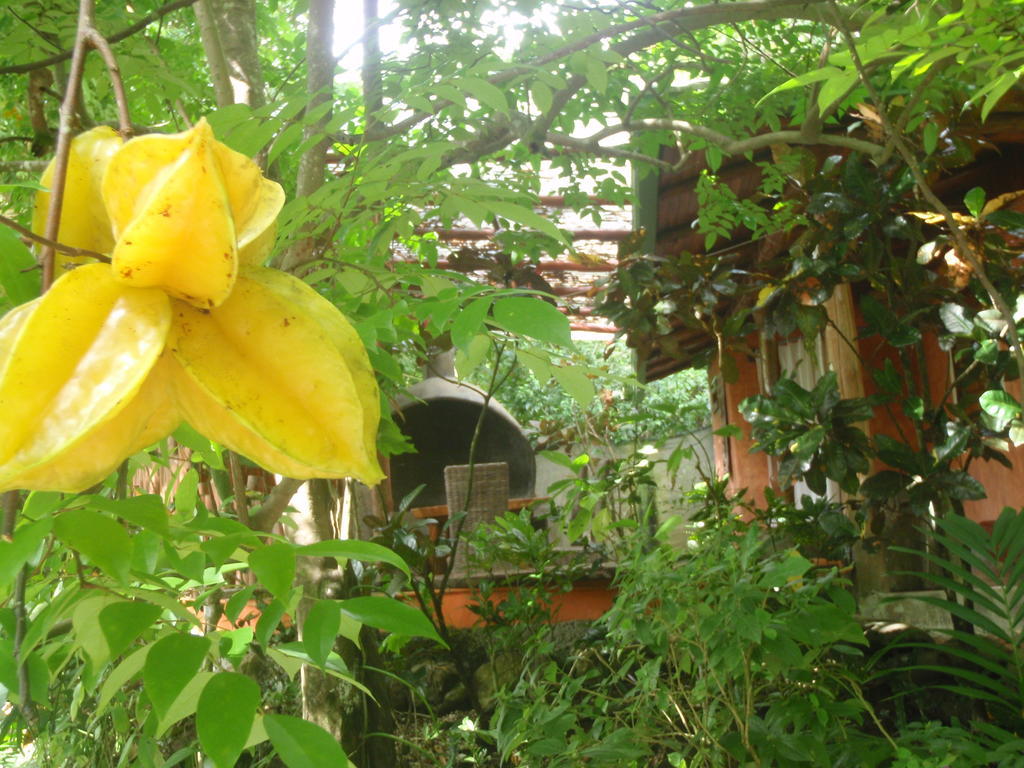 Pachamama Tropical Garden Lodge Malpais Exterior foto