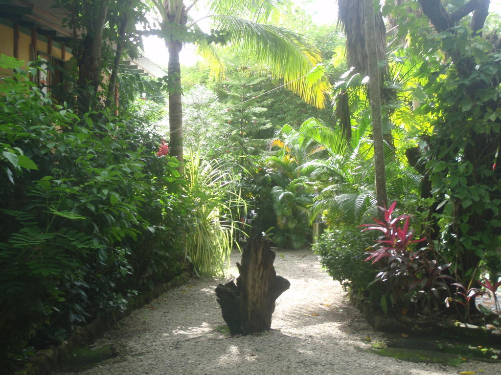 Pachamama Tropical Garden Lodge Malpais Exterior foto