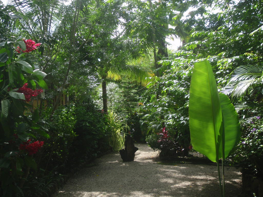 Pachamama Tropical Garden Lodge Malpais Exterior foto