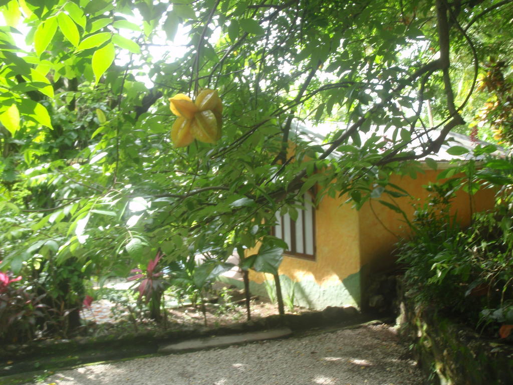 Pachamama Tropical Garden Lodge Malpais Zimmer foto