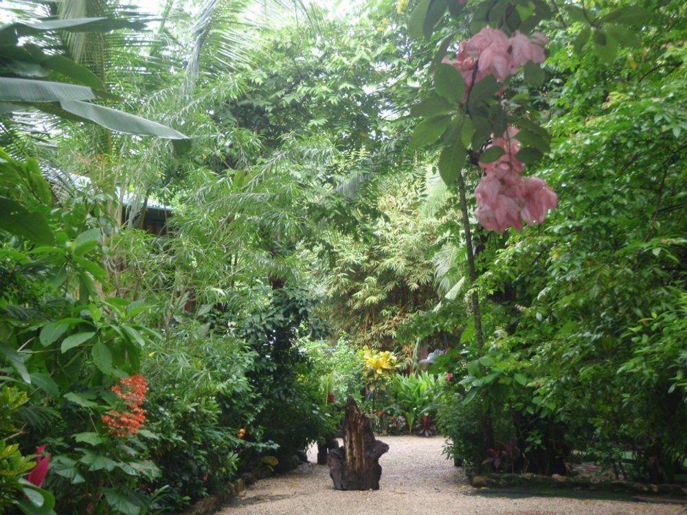 Pachamama Tropical Garden Lodge Malpais Exterior foto